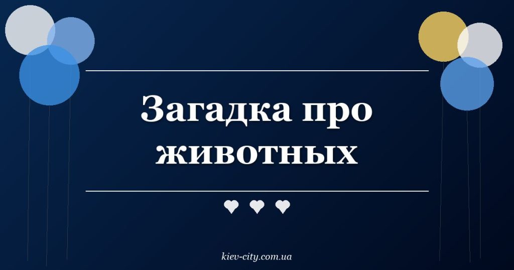 Загадка про животных