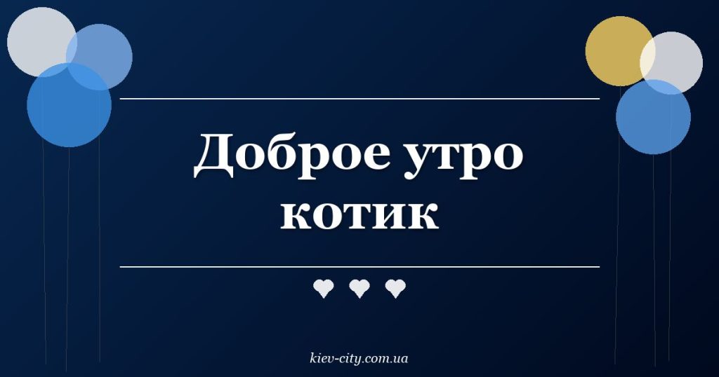 Доброе утро котик