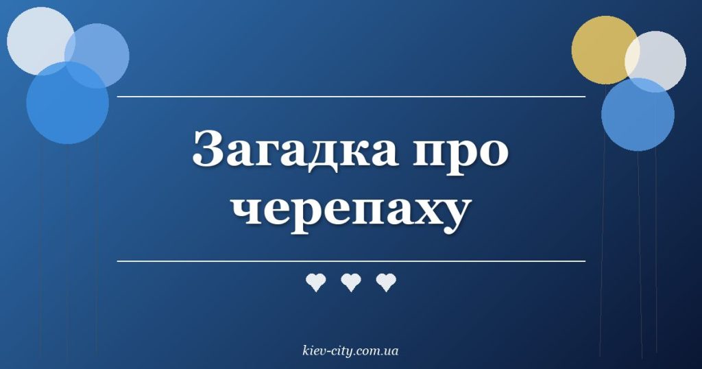 Загадка про черепаху